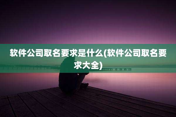 软件公司取名要求是什么(软件公司取名要求大全)