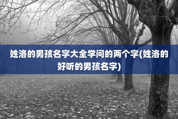 姓洛的男孩名字大全学问的两个字(姓洛的好听的男孩名字)