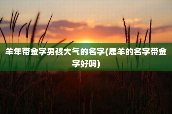 羊年带金字男孩大气的名字(属羊的名字带金字好吗)