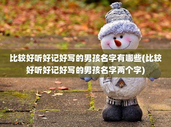 比较好听好记好写的男孩名字有哪些(比较好听好记好写的男孩名字两个字)