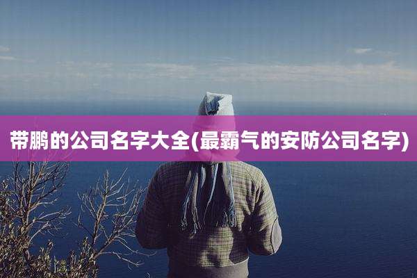 带鹏的公司名字大全(最霸气的安防公司名字)