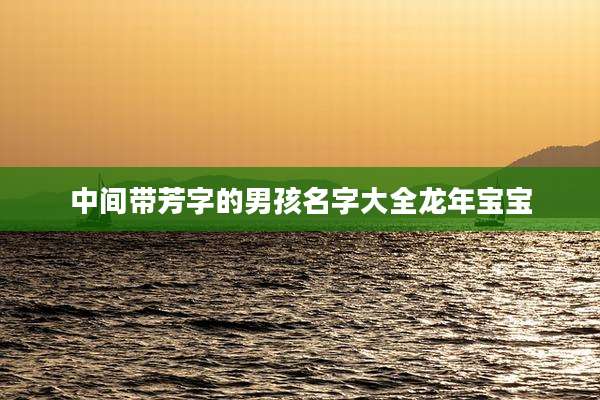 中间带芳字的男孩名字大全龙年宝宝