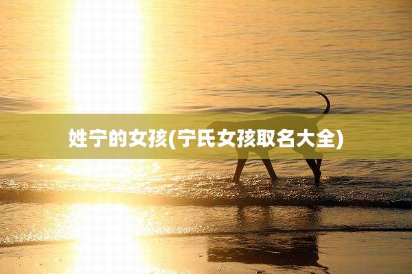 姓宁的女孩(宁氏女孩取名大全)