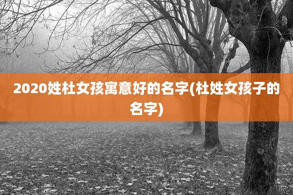 2020姓杜女孩寓意好的名字(杜姓女孩子的名字)
