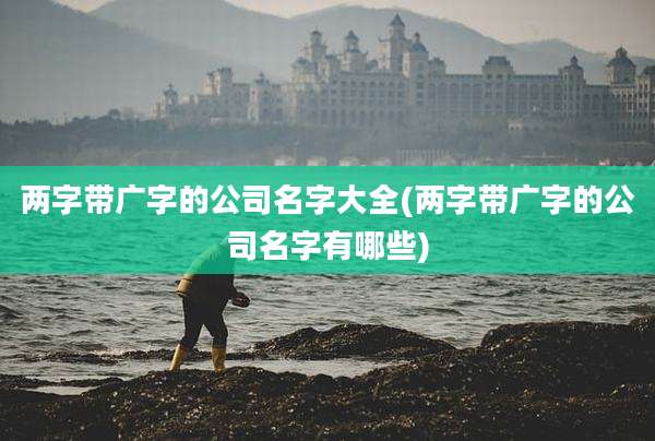 两字带广字的公司名字大全(两字带广字的公司名字有哪些)