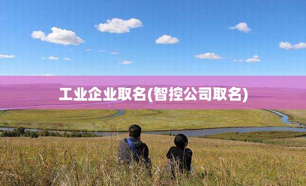 工业企业取名(智控公司取名)