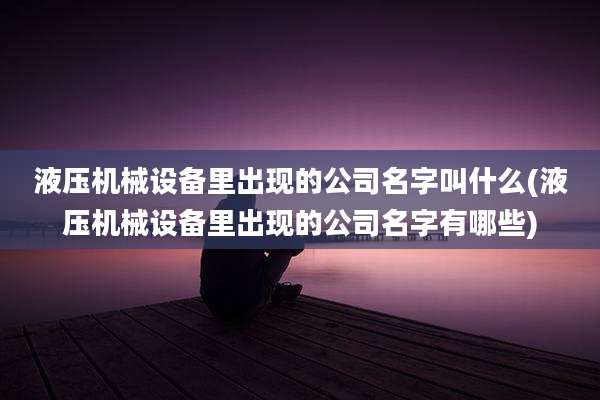 液压机械设备里出现的公司名字叫什么(液压机械设备里出现的公司名字有哪些)