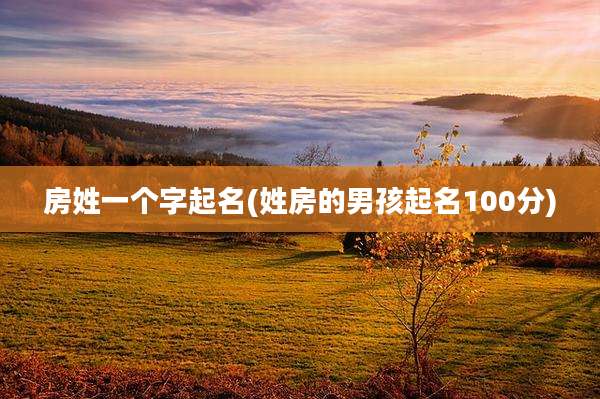 房姓一个字起名(姓房的男孩起名100分)