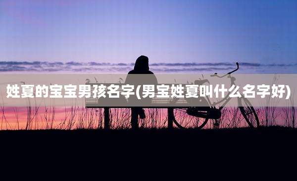 姓夏的宝宝男孩名字(男宝姓夏叫什么名字好)