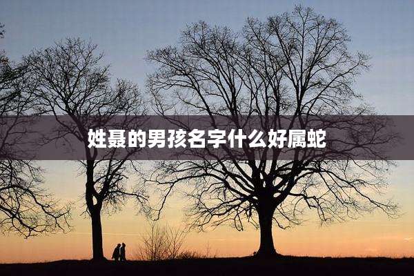 姓聂的男孩名字什么好属蛇