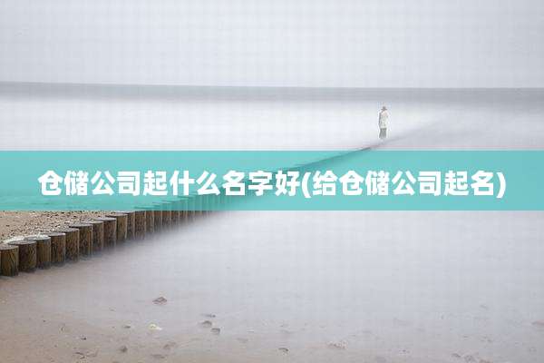 仓储公司起什么名字好(给仓储公司起名)