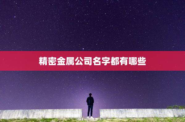 精密金属公司名字都有哪些