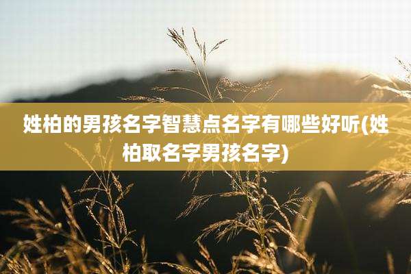 姓柏的男孩名字智慧点名字有哪些好听(姓柏取名字男孩名字)