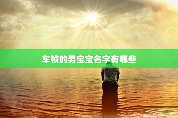 车祯的男宝宝名字有哪些