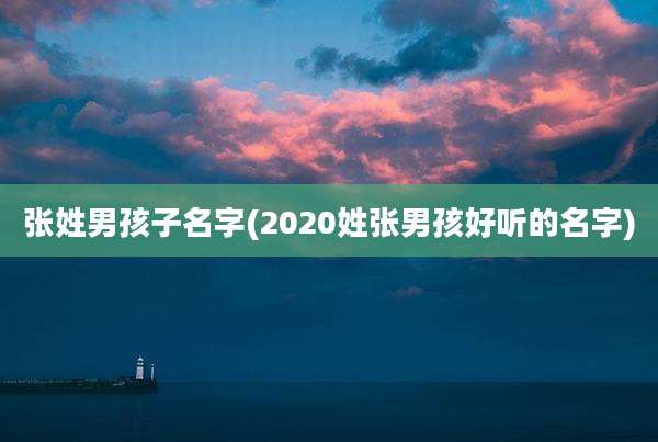 张姓男孩子名字(2020姓张男孩好听的名字)