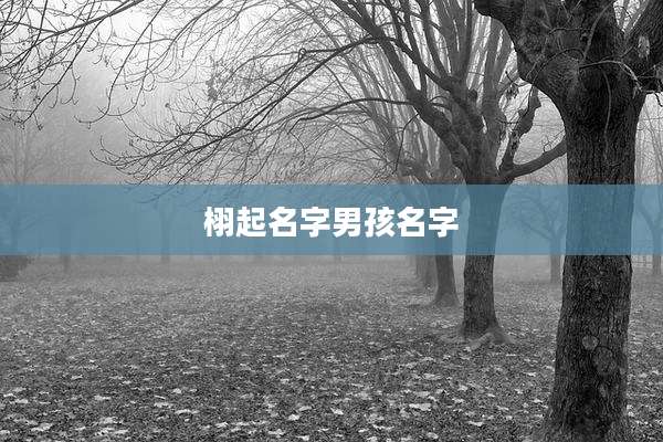 栩起名字男孩名字