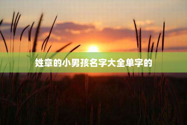 姓章的小男孩名字大全单字的