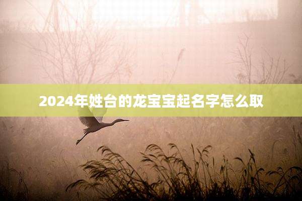 2024年姓台的龙宝宝起名字怎么取