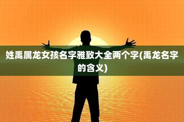 姓禹属龙女孩名字雅致大全两个字(禹龙名字的含义)