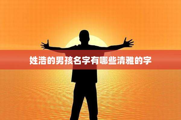 姓浩的男孩名字有哪些清雅的字