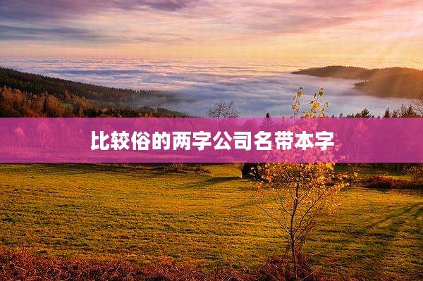 比较俗的两字公司名带本字