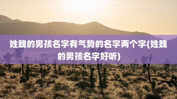 姓魏的男孩名字有气势的名字两个字(姓魏的男孩名字好听)