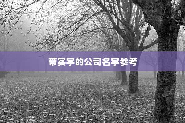 带实字的公司名字参考