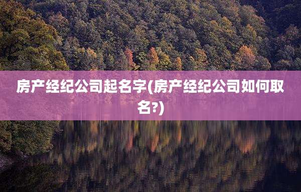 房产经纪公司起名字(房产经纪公司如何取名?)