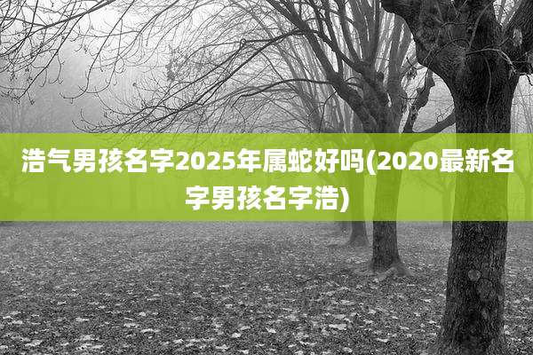 浩气男孩名字2025年属蛇好吗(2020最新名字男孩名字浩)