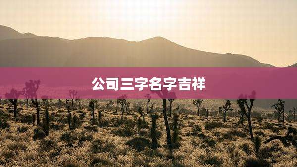 公司三字名字吉祥