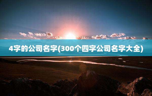 4字的公司名字(300个四字公司名字大全)