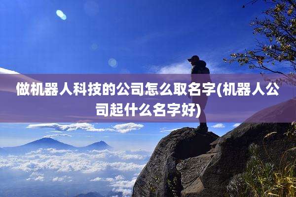 做机器人科技的公司怎么取名字(机器人公司起什么名字好)