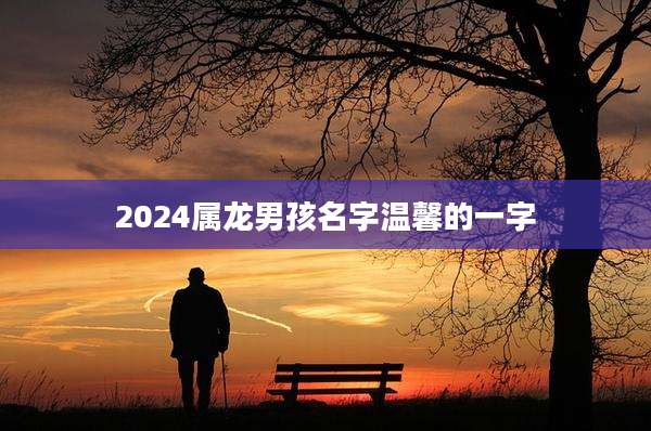 2024属龙男孩名字温馨的一字