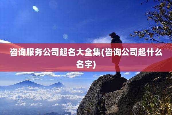 咨询服务公司起名大全集(咨询公司起什么名字)