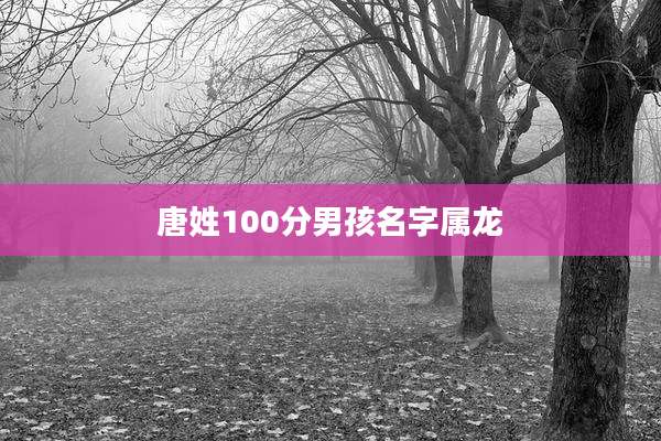 唐姓100分男孩名字属龙