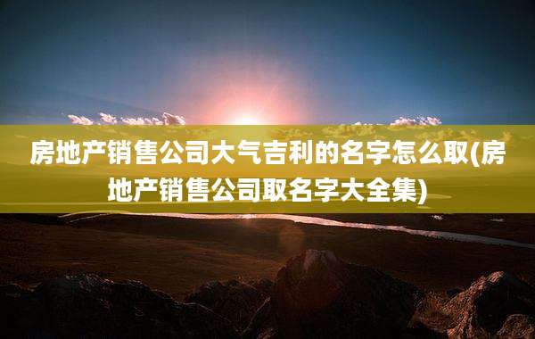 房地产销售公司大气吉利的名字怎么取(房地产销售公司取名字大全集)