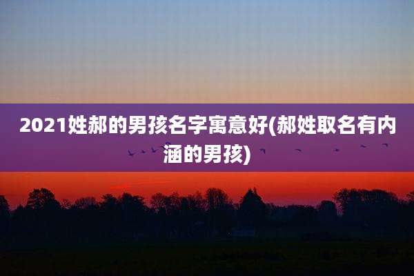 2021姓郝的男孩名字寓意好(郝姓取名有内涵的男孩)