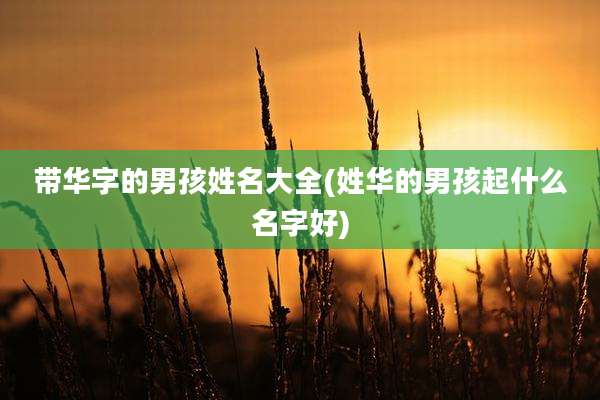 带华字的男孩姓名大全(姓华的男孩起什么名字好)