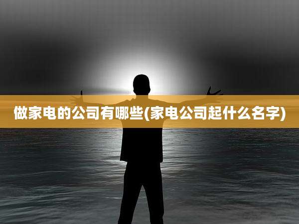 做家电的公司有哪些(家电公司起什么名字)
