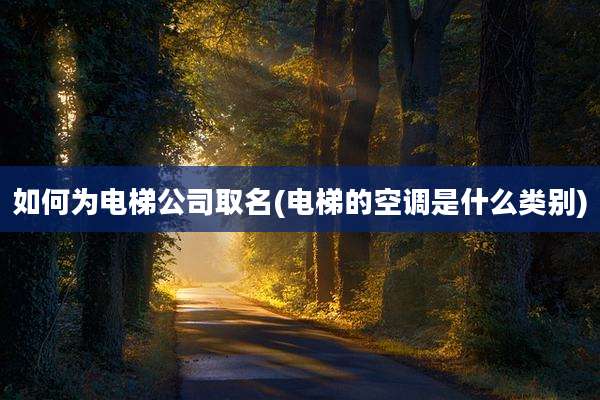 如何为电梯公司取名(电梯的空调是什么类别)