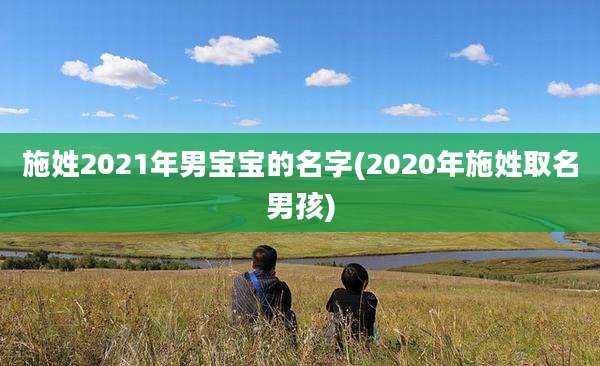 施姓2021年男宝宝的名字(2020年施姓取名男孩)