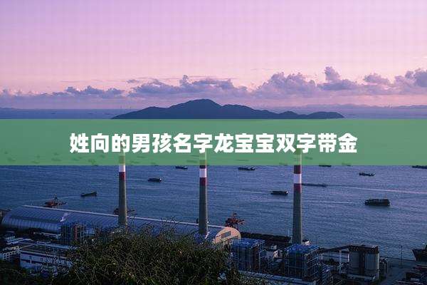 姓向的男孩名字龙宝宝双字带金