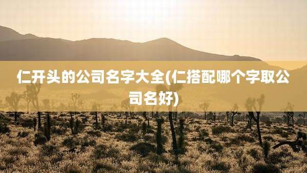 仁开头的公司名字大全(仁搭配哪个字取公司名好)