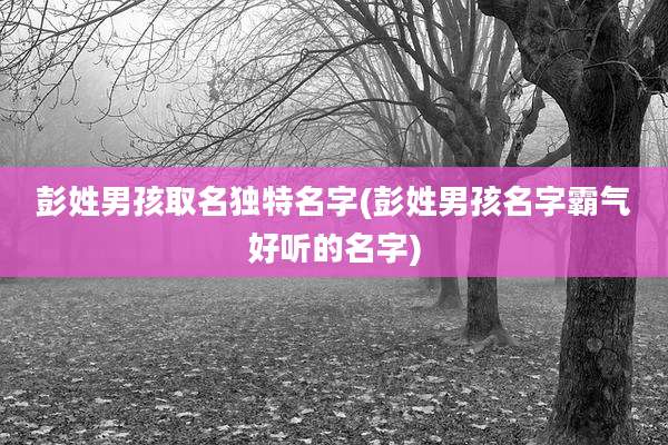 彭姓男孩取名独特名字(彭姓男孩名字霸气好听的名字)