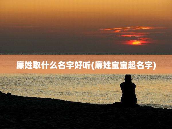 廉姓取什么名字好听(廉姓宝宝起名字)