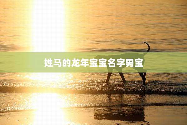 姓马的龙年宝宝名字男宝
