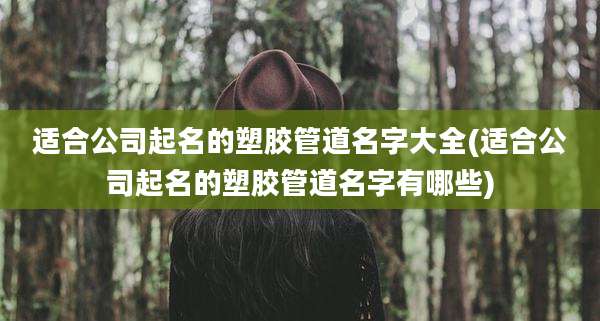 适合公司起名的塑胶管道名字大全(适合公司起名的塑胶管道名字有哪些)