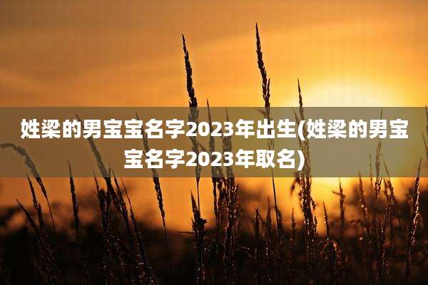 姓梁的男宝宝名字2023年出生(姓梁的男宝宝名字2023年取名)