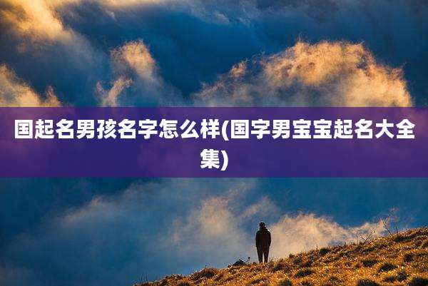 国起名男孩名字怎么样(国字男宝宝起名大全集)