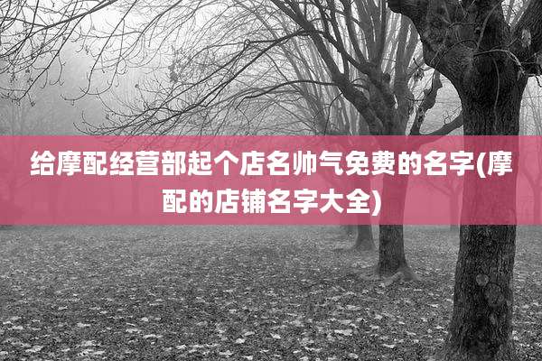 给摩配经营部起个店名帅气免费的名字(摩配的店铺名字大全)